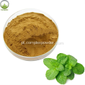 Hight Quality Bulk Peppermint Extract Powder